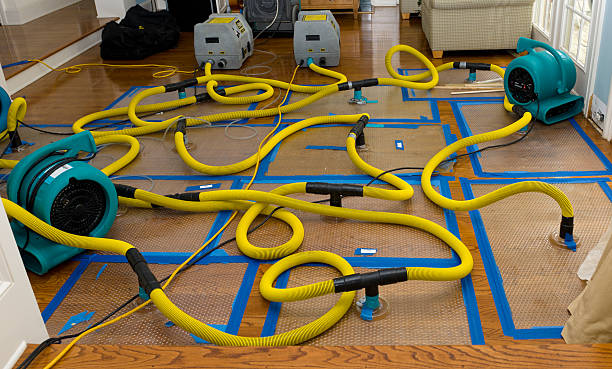 Professional Crawl Space Water Removal technician working in Reads Landing, MN